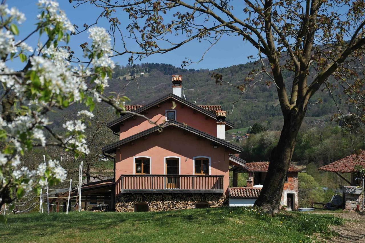 Antico Fienile Villa เบลลูโน ภายนอก รูปภาพ